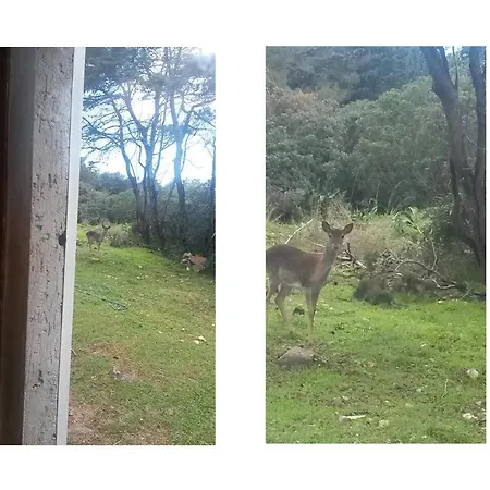 Holiday home La Baia *
